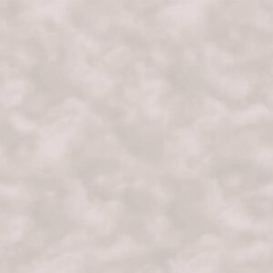 Обои Саратовские Обои Берг 571-02