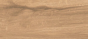Плитка керамогранитная AZARIO ASHWOOD 20х120 Matt (P231123221WM)