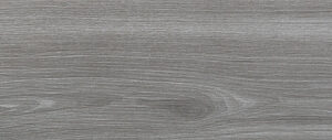 Плитка керамогранитная ECO ceramic WALKYRIA SILVER 20x120 Matt (EC3202300006M)