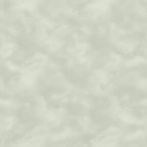 Обои Саратовские Обои Берг 571-04